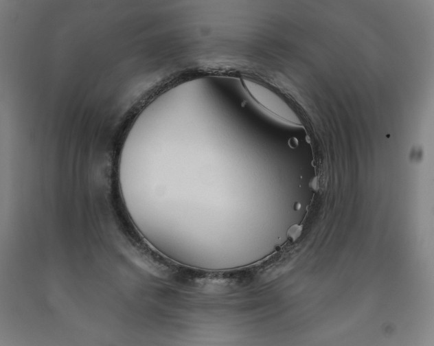 X0000091860448200709261258