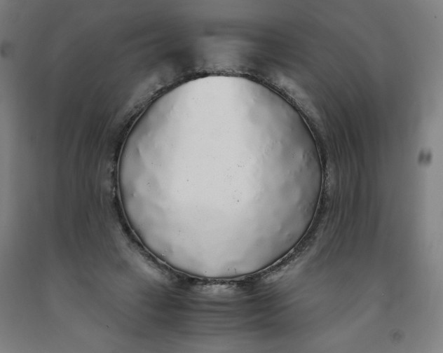 X0000091860449200709261258