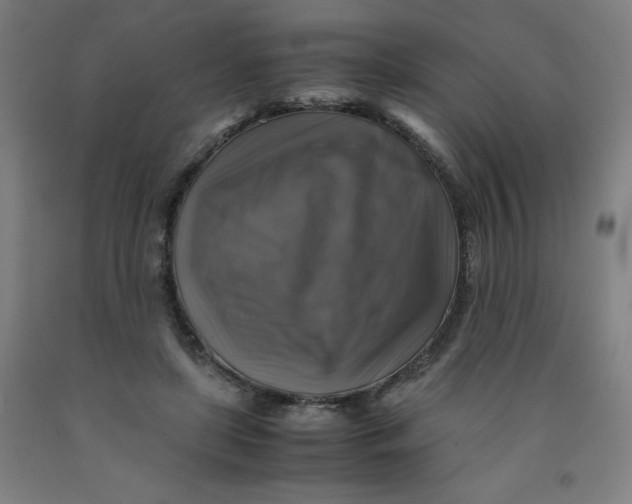 X0000091860451200709261258