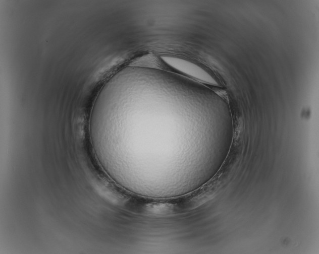 X0000091860452200709261258