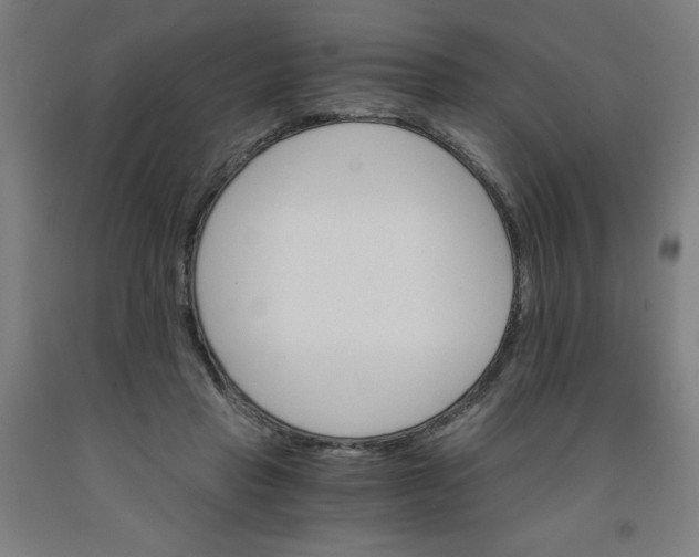 X0000091860453200709261258