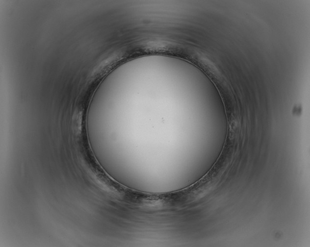 X0000091860454200709261258