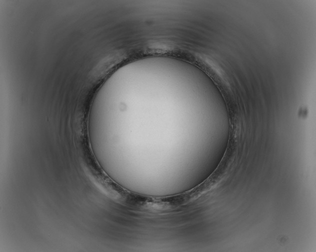 X0000091860455200709261258