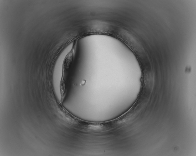 X0000091860457200709261258