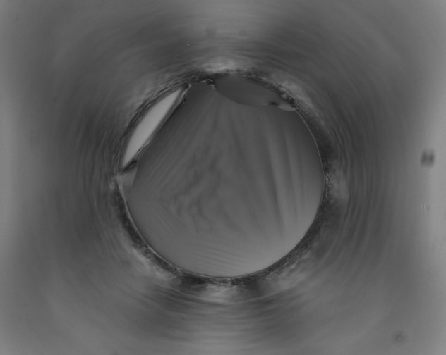 X0000091860458200709261258