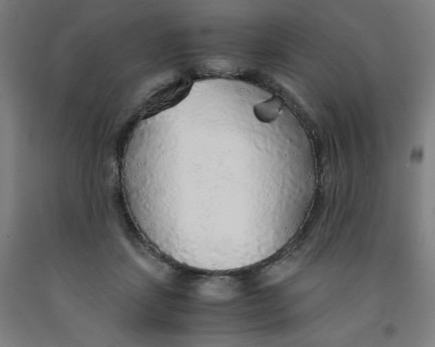 X0000091860459200709261258