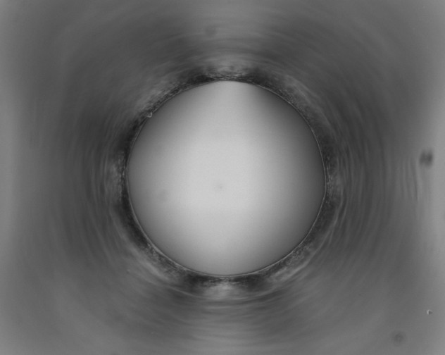 X0000091860460200709261258