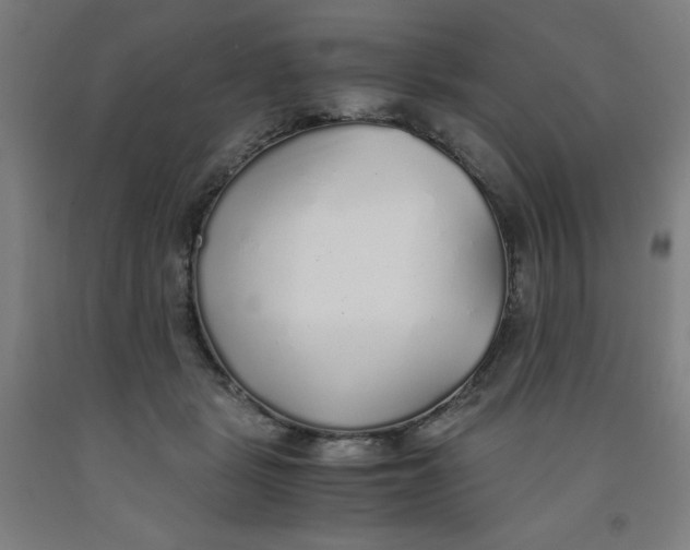 X0000091860461200709261258