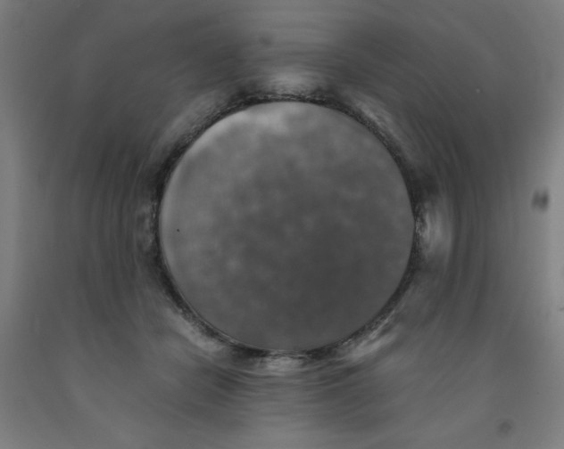 X0000091860462200709261258