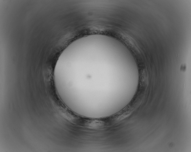 X0000091860463200709261258