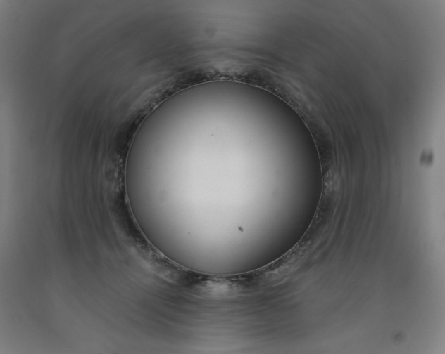 X0000091860464200709261258