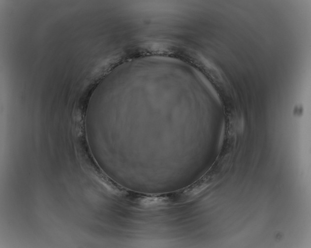 X0000091860465200709261258