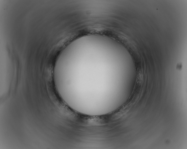 X0000091860468200709261258