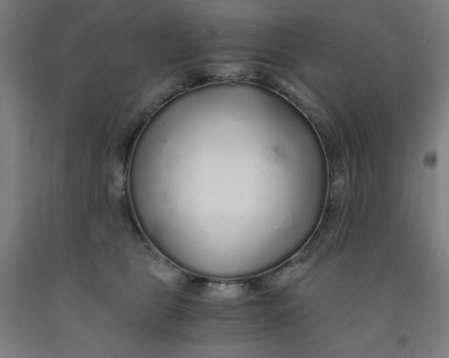 X0000091860469200709261258