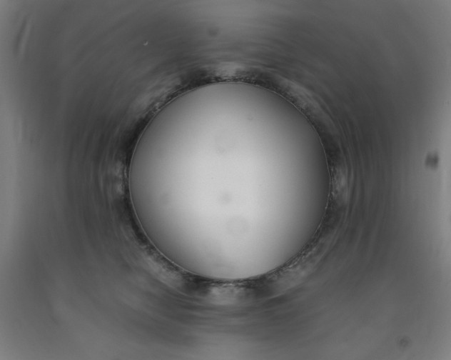 X0000091860470200709261258