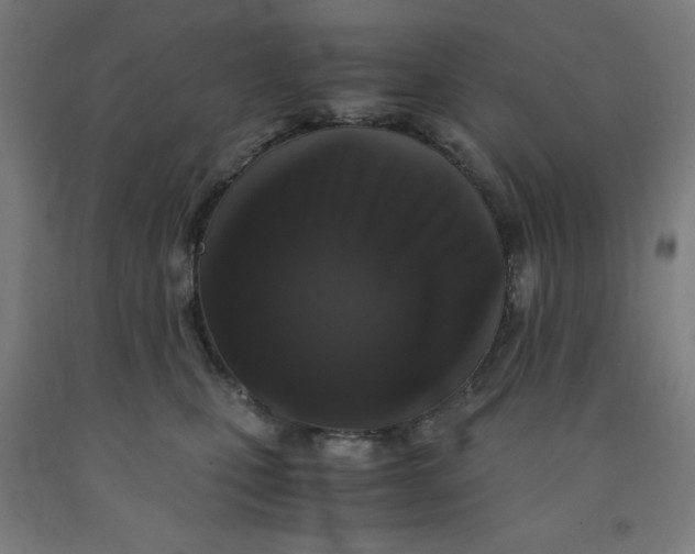 X0000091860471200709261258