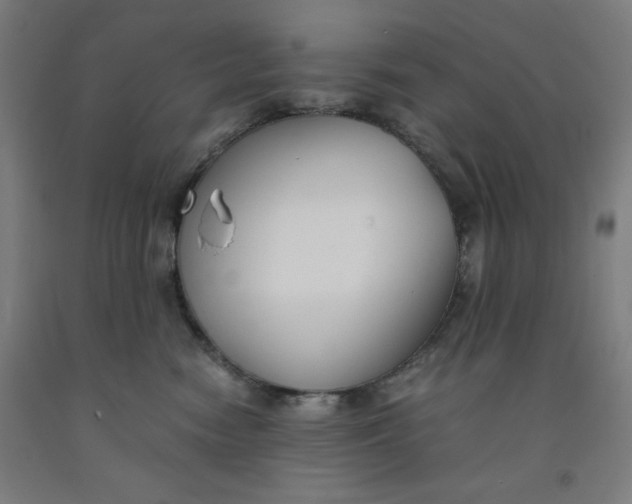 X0000091860474200709261258