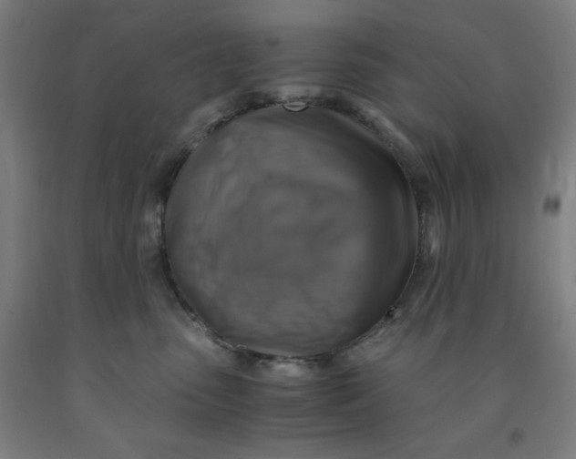 X0000091860475200709261258