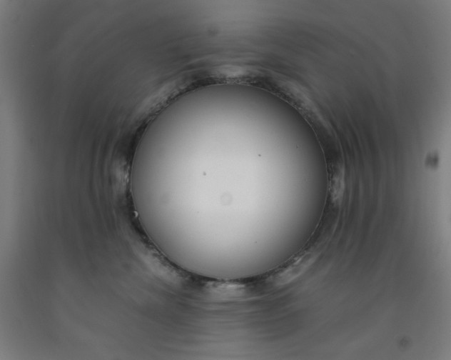 X0000091860476200709261258