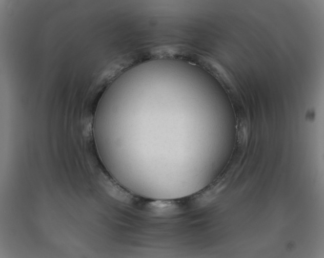 X0000091860477200709261258