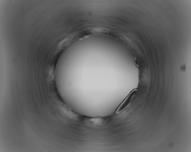 X0000091860478200709261258