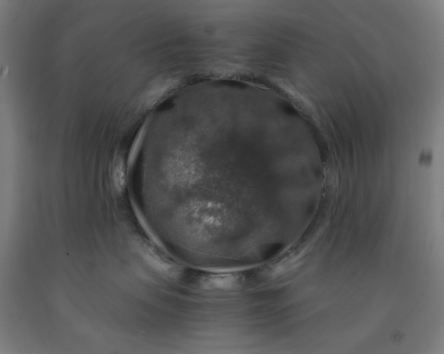 X0000091860479200709261258