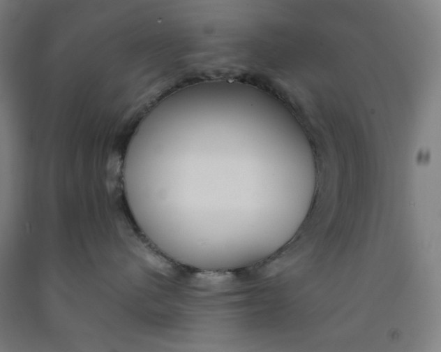 X0000091860480200709261258