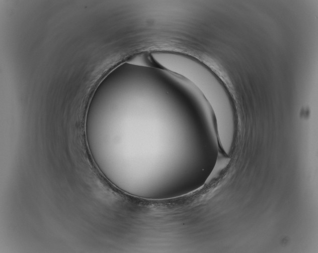 X0000091860481200709261258