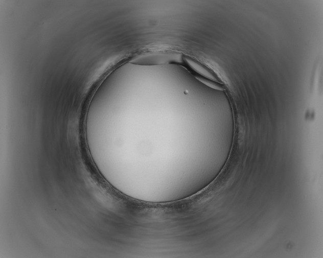 X0000091860482200709261258