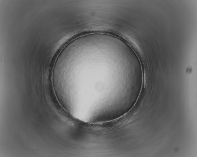 X0000091860483200709261258