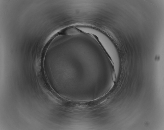 X0000091860484200709261258