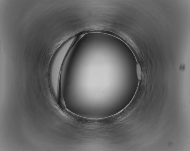 X0000091860485200709261258