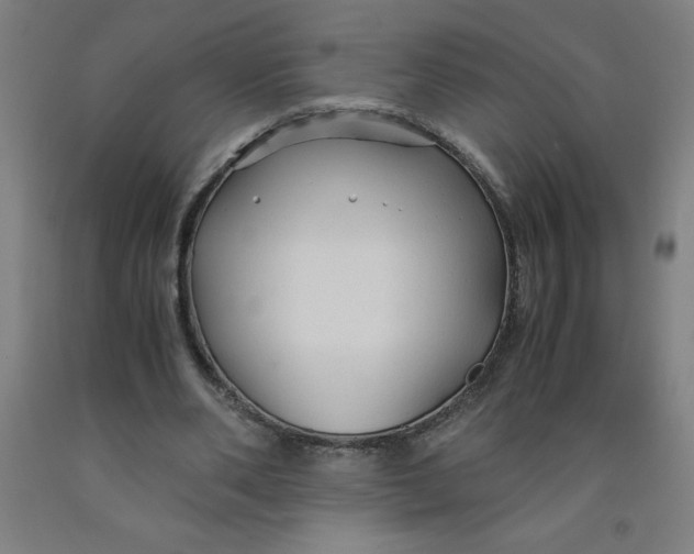 X0000091860486200709261258