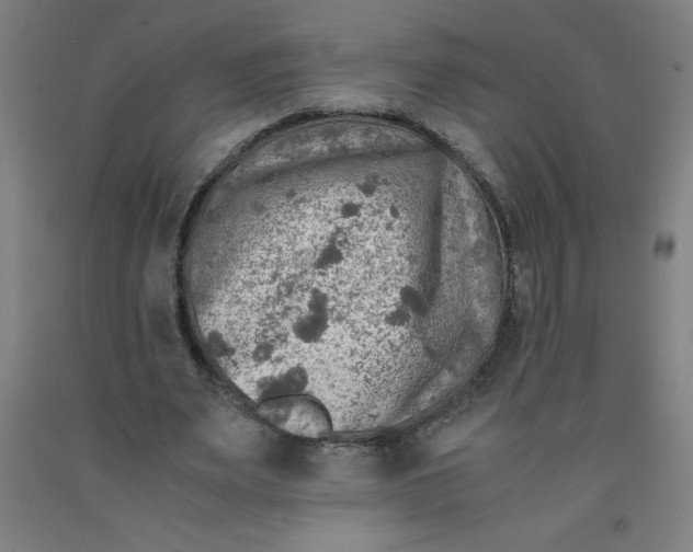 X0000091860487200709261258