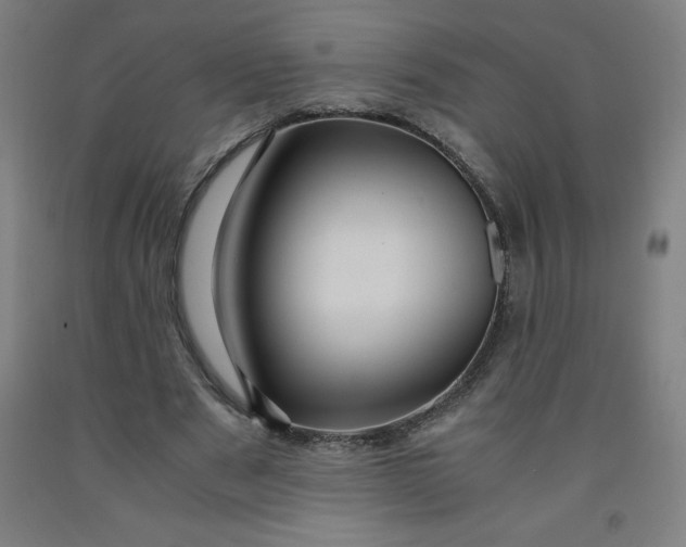 X0000091860489200709261257