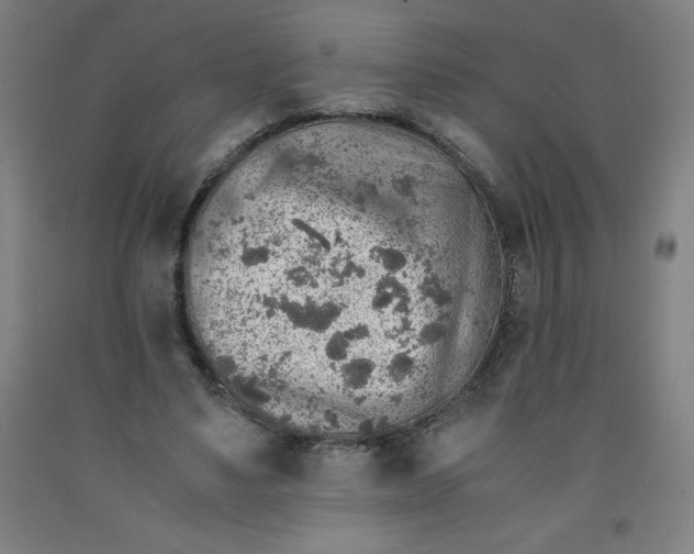 X0000091860491200709261257