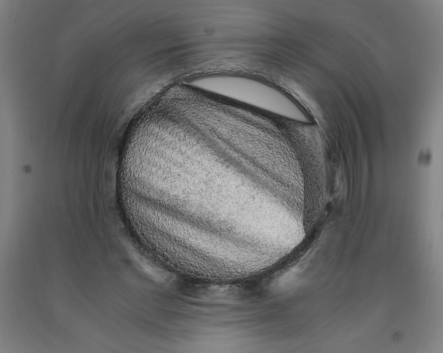 X0000091860493200709261257