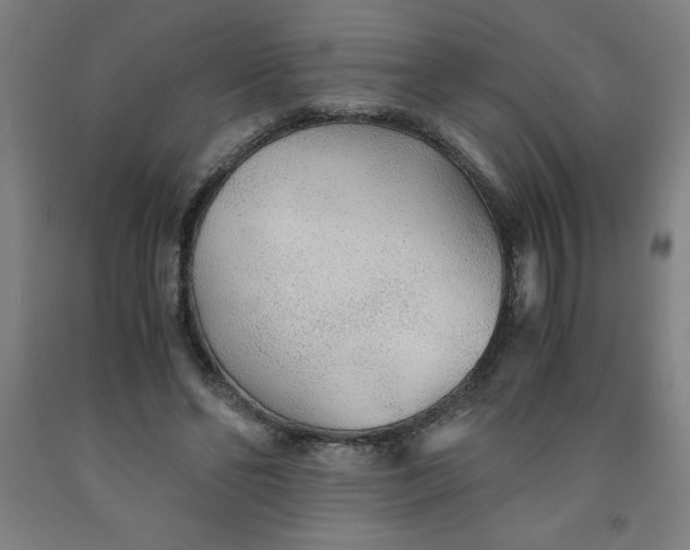 X0000091860494200709261257