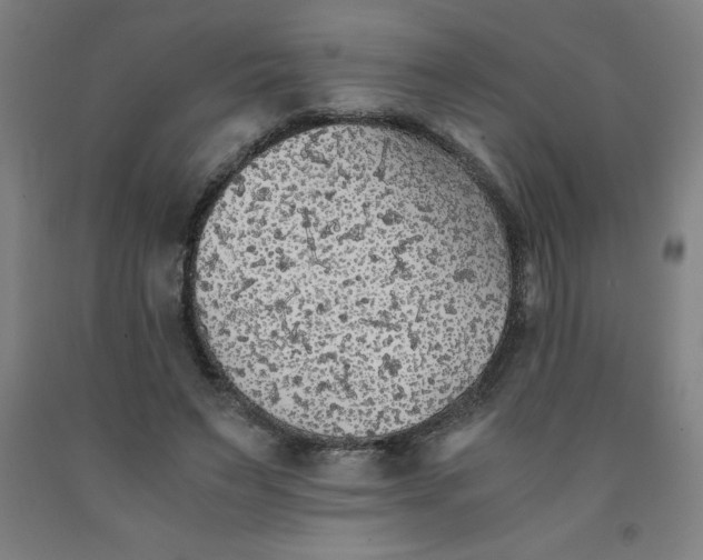 X0000091860495200709261257