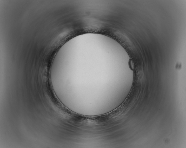 X0000091860498200709261257