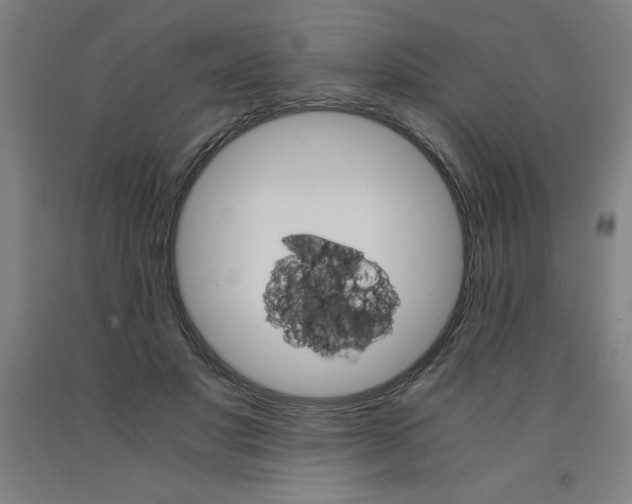 X0000091860501200709261257