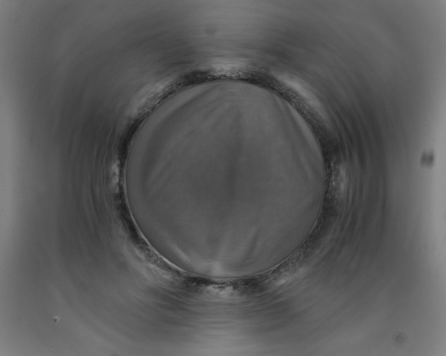 X0000091860502200709261257