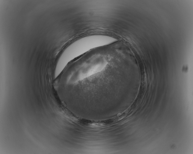 X0000091860508200709261257