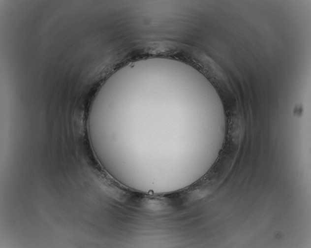 X0000091860510200709261257