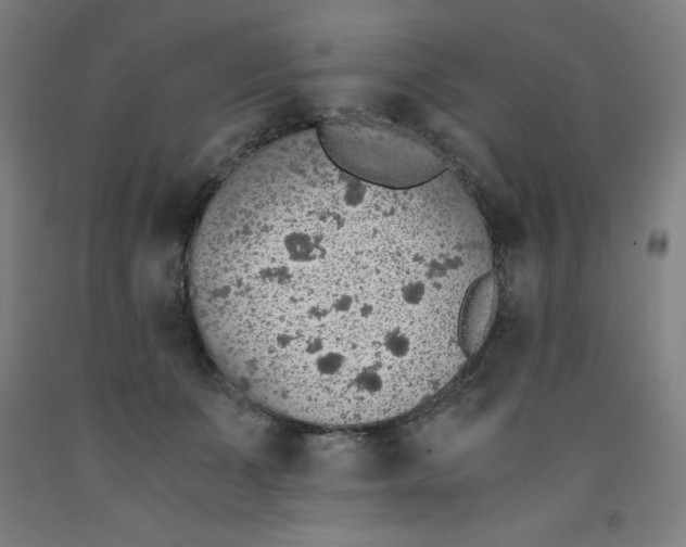 X0000091860511200709261257