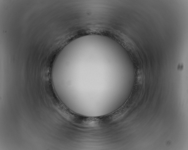 X0000091860514200709261257