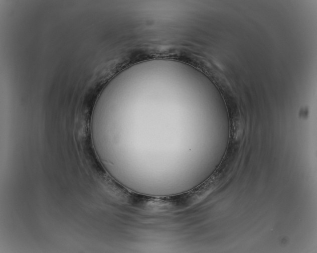 X0000091860515200709261257