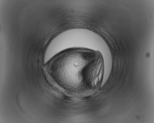 X0000091860516200709261257