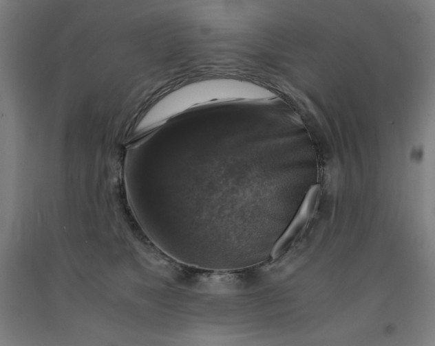 X0000091860517200709261257