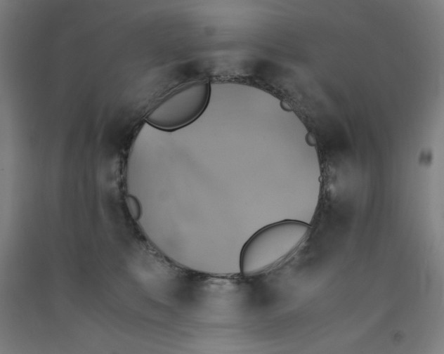 X0000091860519200709261257